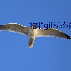啪啪gif动态图第125期