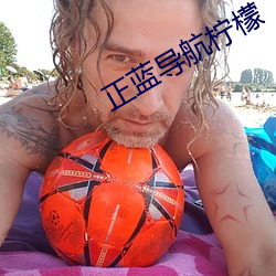 正蓝导航柠檬