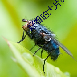 AG真人平台(中国)官方网站
