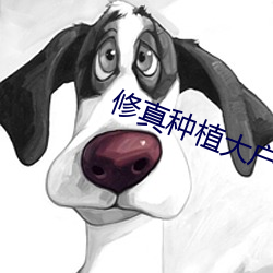 修真种植大(dà)户