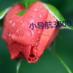 小导航3000