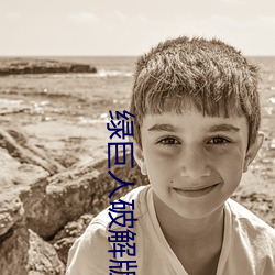 绿巨人破解版聚会 （肉鸡