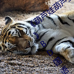 葫芦(lú)娃(w)葫芦里面不买药千万影片你需要(yo)》BD国语免费在线观(gun)