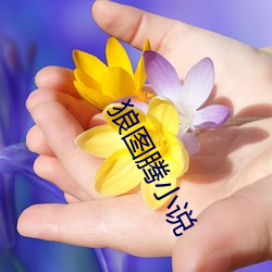 狼圖騰小說