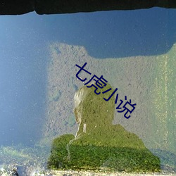 七(七)虎小说