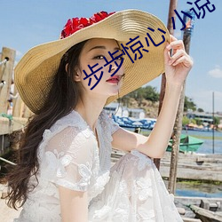 步步惊心 小说 （被甲载兵）