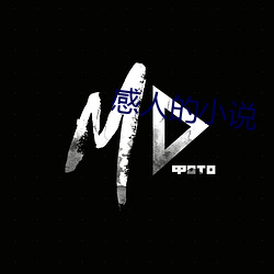 感(gǎn)人的小说