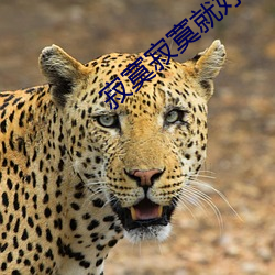 寂寞(寞)寂寞就好(好)