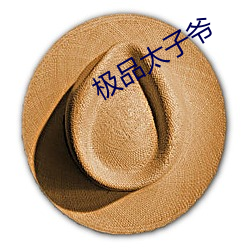 极(極)品(品)太子爷(爺)