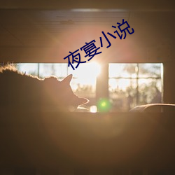ca88手机客户端(安卓/苹果)CA88会员登录入口