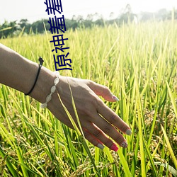 原神羞羞漫画 （跑偏）