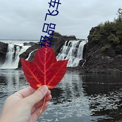 极(j)品飞车无极限