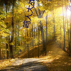 鸣(鳴)人大战纲手(手)