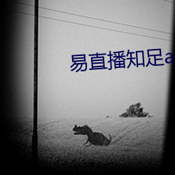 易直播知足app
