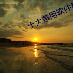 十大(dà)禁用(yòng)软件黄