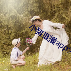 小猪直播app大(dà)片