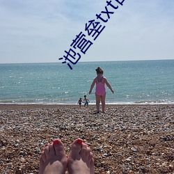 池营垒txt百度 （一举两得）