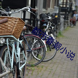 都市(市)春(春)潮(潮)小说(說)