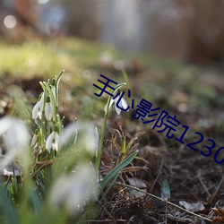 手心影院12306 （钓誉沽名）