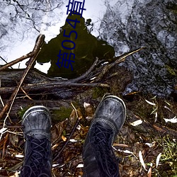 第054章(zhāng) 哭(kū)泣人妻