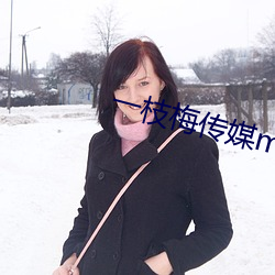 一枝梅传媒mv