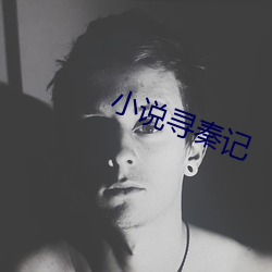 小说寻秦记