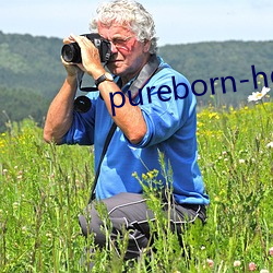 pureborn-hd