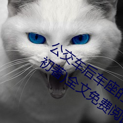 公交车后车座的疯狂的做细节阅读(十月初著)全文免费阅读