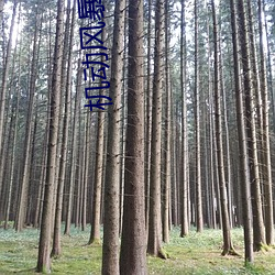 机动风暴 （无关宏旨）
