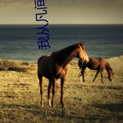 我从凡间来