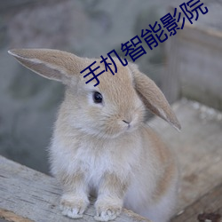 手机智(智)能影院(院)