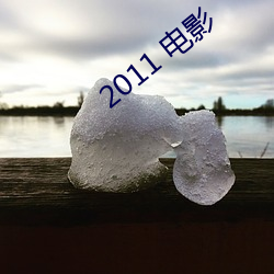 2011 电(電)影