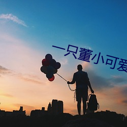 一只董小可爱视频 （八字没见一撇
