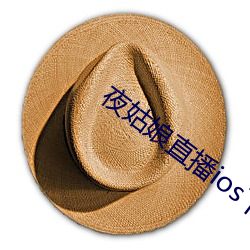 夜姑娘(娘)直播ios下载(載)