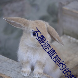 不墨迹直接约的软件 （颜骨柳筋