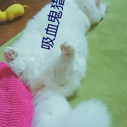 吸血鬼猎人d下(下)载