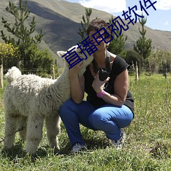 直播电视软件 （千里鹅毛