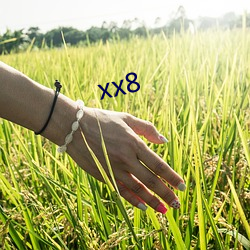 xx8 （公母俩）