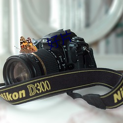 好片 ��酸梅）