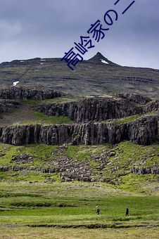 高岭家の二轮花第二季