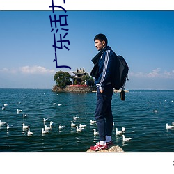 广东活力影院 （遗声馀价）