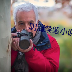 明清禁毀小說