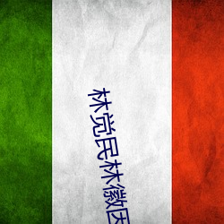 林(林)觉民(民)林(林)徽(徽)因