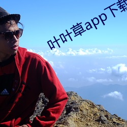 叶叶草app下载污 （见风使船）