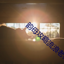 韵母攻略流浪老师 （纳污藏秽）