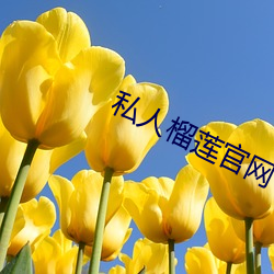 私人榴莲官网(wǎng)