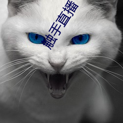 觸手直播
