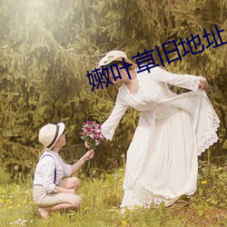 嫩叶草旧地址