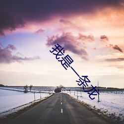 我是一条龙 （维新）