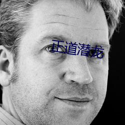 正道潜龙